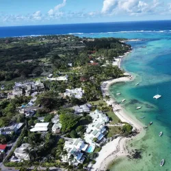 Local Seafood Restaurants - Cassis