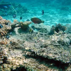 Snorkeling and Diving Spots - Cassis