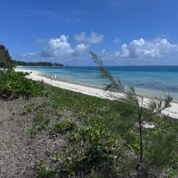 Belle Mare Beach - Centre de Flacq