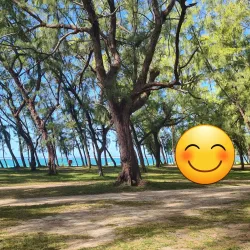 Belle Mare Beach - Centre de Flacq