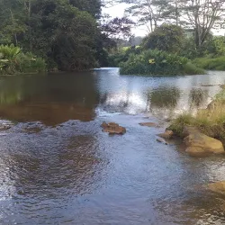 Domaine de l'Etoile - Centre de Flacq