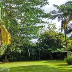 Domaine de l'Etoile - Centre de Flacq