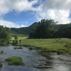 Domaine de l'Etoile - Centre de Flacq