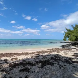 Ile aux Cerfs - Centre de Flacq