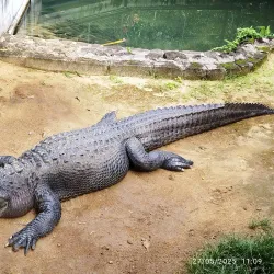 La Vanille Nature Park - Centre de Flacq
