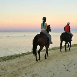 Palmar Beach - Centre de Flacq