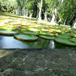 Trou d'Eau Douce - Centre de Flacq
