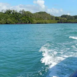 Trou d'Eau Douce - Centre de Flacq