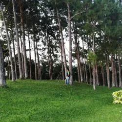 Grand Baie - Dagotiere