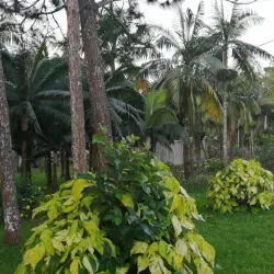 Grand Baie - Dagotiere