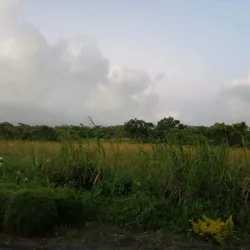 Grand Baie - Dagotiere