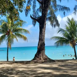 Pereybere Beach - Dagotiere