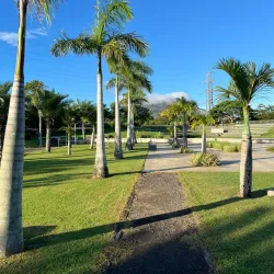 Ebene Central Park - Ebene