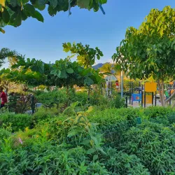 Ebene Central Park - Ebene