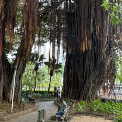 Jardin de la Compagnie - Ebene