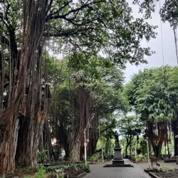 Jardin de la Compagnie - Ebene