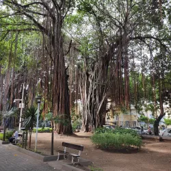 Jardin de la Compagnie - Ebene