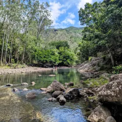 Black River Gorges National Park - Flic en Flac