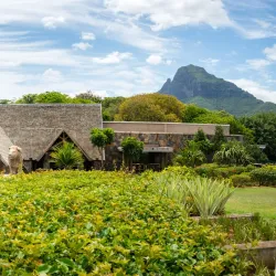 Casela Nature and Leisure Park Safari - Flic en Flac