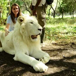 Casela Nature and Leisure Park Safari - Flic en Flac