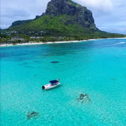 Dolphin Watching Tours - Flic en Flac