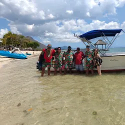 Dolphin Watching Tours - Flic en Flac