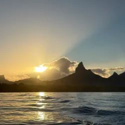 Dolphin Watching Tours - Flic en Flac