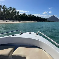 Dolphin Watching Tours - Flic en Flac