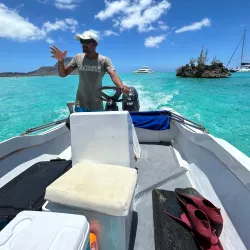 Dolphin Watching Tours - Flic en Flac