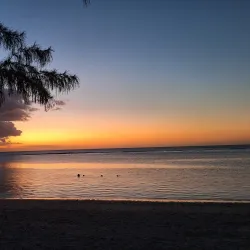 Flic en Flac Market - Flic en Flac