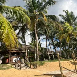 Flic en Flac Market - Flic en Flac