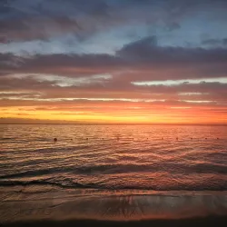 Flic en Flac Market - Flic en Flac