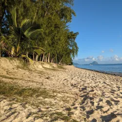 Flic en Flac Market - Flic en Flac