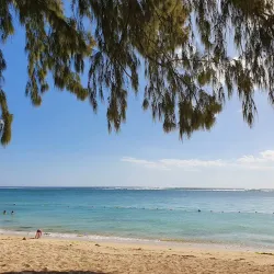 Flic en Flac Market - Flic en Flac