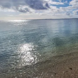 Flic en Flac Market - Flic en Flac