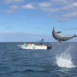 Tamarin Bay - Flic en Flac