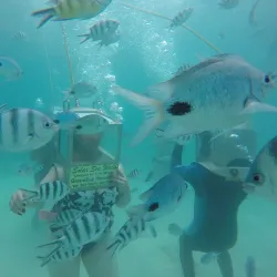 Underwater Sea Walk - Flic en Flac