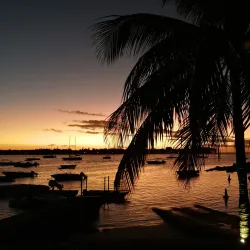 Grand Bay Yacht Club - Grand Bay