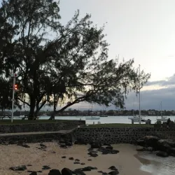 Grand Bay Yacht Club - Grand Bay