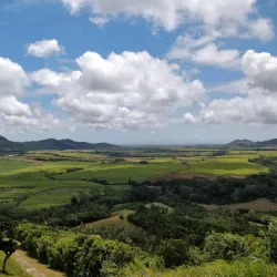 Domaine de l'Etoile - L'escalier
