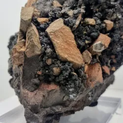 La Maison du Volcan - L'escalier