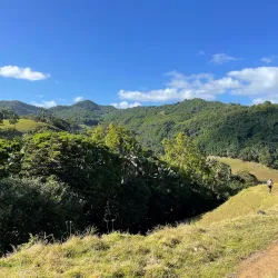 La Vallée de Ferney Nature Reserve - L'escalier
