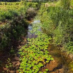 La Vallée de Ferney Nature Reserve - L'escalier