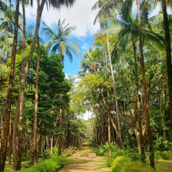 La Vallée de Ferney Nature Reserve - L'escalier