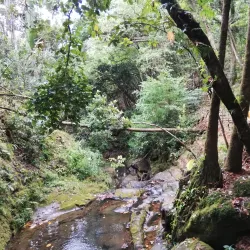 La Vallée de Ferney Nature Reserve - L'escalier