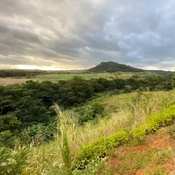 Rochester Falls - L'escalier