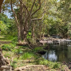 Rochester Falls - L'escalier