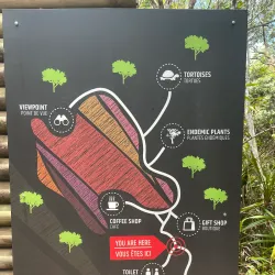 Seven Colored Earths - L'escalier