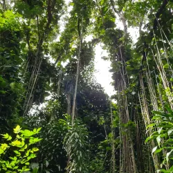 La Vanille Nature Park - Petit Raffray