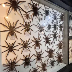 La Vanille Nature Park - Petit Raffray